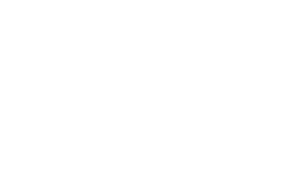 Prince logo