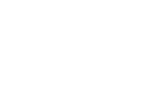 Dunlop logo