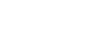 Tecnifibre logo
