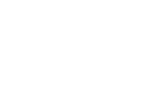 Volkl logo