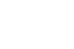 Yonex logo